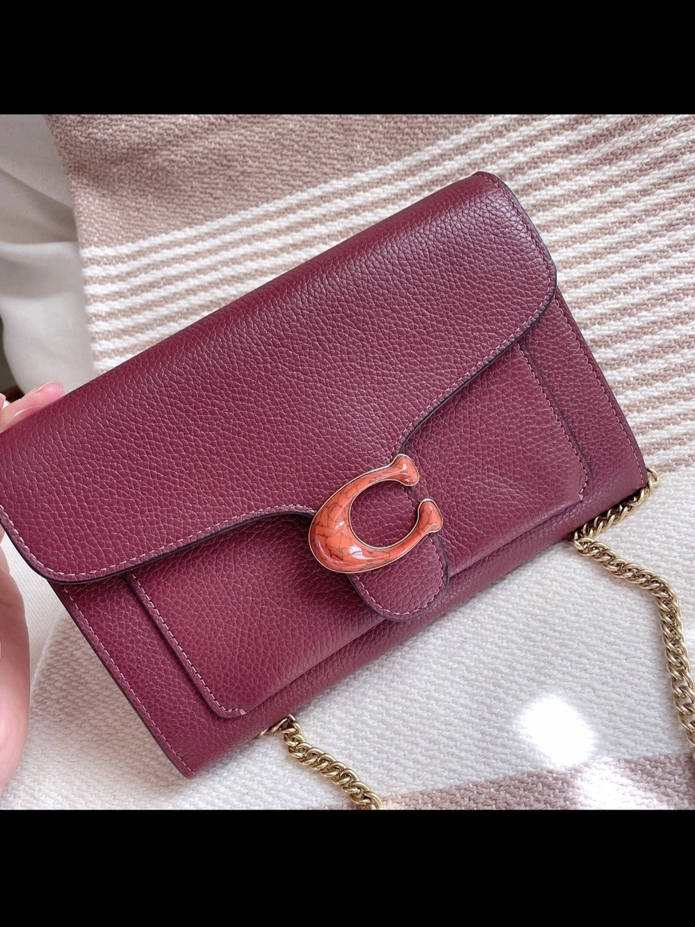 Coach Tabby🍷Chain Clutch modern interpretation of archival 1970s Coach design